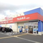 ウェルネス国府町まで350ｍ(周辺)