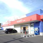 ウェルネス吉永店まで750m
