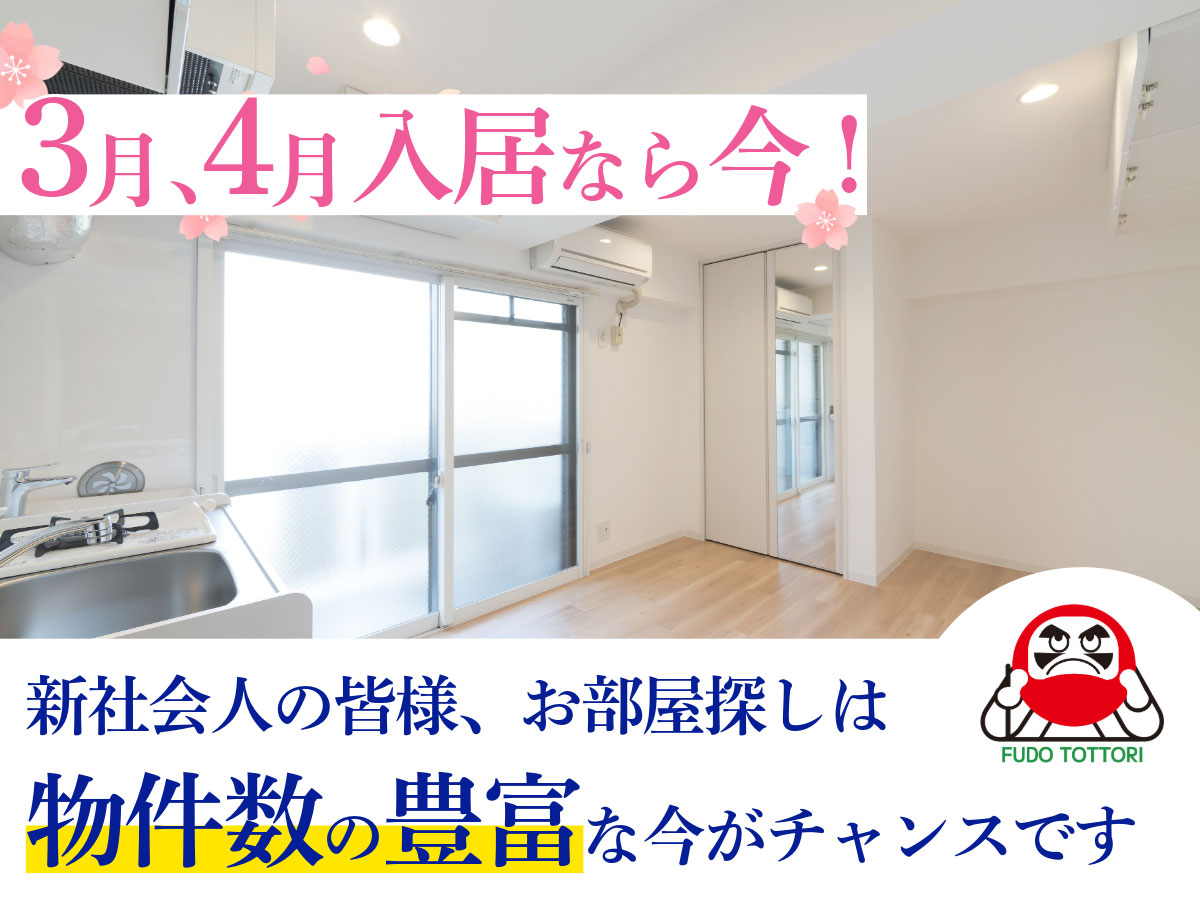 3月、4月入居なら今！新社会人の皆様、お部屋探しは物件数の豊富な今がチャンスです