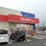 ドラッグストア　ウェルネス鳥取片原店より約300メートル(周辺)