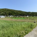 (外観)