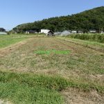 【鳥取市覚寺】売土地 農地
