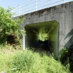 裏庭は陸橋の先に続いています