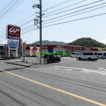 ウェルネス丸山店(周辺)