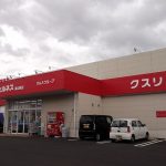 ウェルネス湖山東店まで約700m